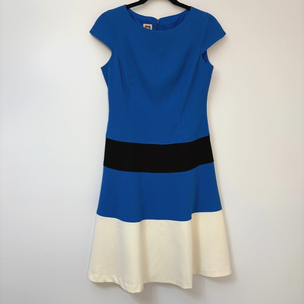 Anne Klein Colorblock  Fit & Flare‎ Dress Women's 4